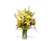 Burst of Yellow, picture