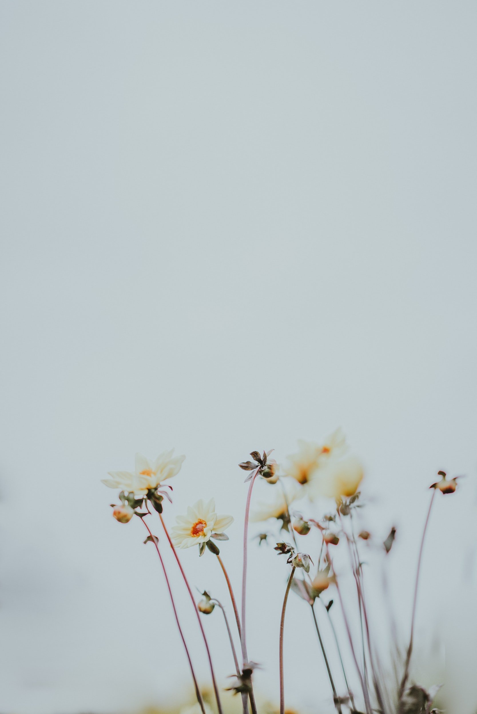unsplash-image-4CQ3sEkV-TE.jpg