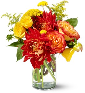 Teleflora's Dazzling Dahlias in Centralia�IL, Ross Flower Shop