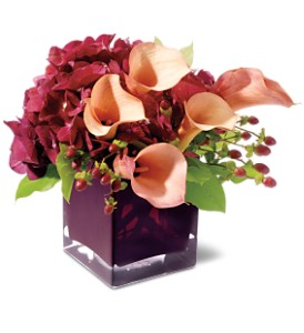 Teleflora's Calla Classique in Centralia�IL, Ross Flower Shop