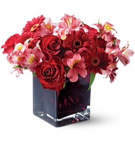 Teleflora's Wild Berry in Centralia IL, Ross Flower Shop