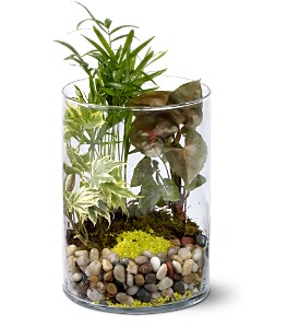 Garden in Glass in Centralia�IL, Ross Flower Shop