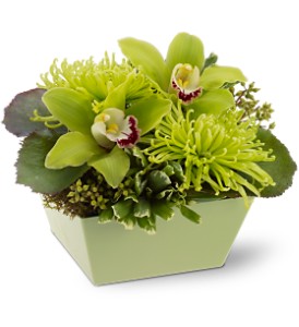 Go Green in Centralia�IL, Ross Flower Shop