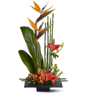 Paradise Found in Centralia�IL, Ross Flower Shop