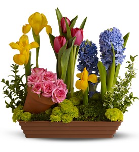 Spring Favorites in Centralia�IL, Ross Flower Shop