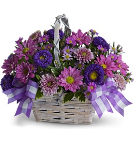 Daisy Day Dreams in Centralia�IL, Ross Flower Shop