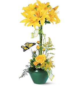 Lily Topiary in Centralia�IL, Ross Flower Shop