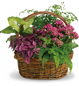 Secret Garden Basket in Centralia IL, Ross Flower Shop