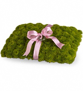 Ringbearer's Pillow in Centralia IL, Ross Flower Shop