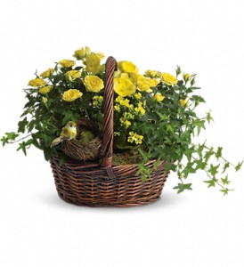 Yellow Trio Basket in Centralia IL, Ross Flower Shop
