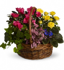 Blooming Garden Basket in Centralia IL, Ross Flower Shop