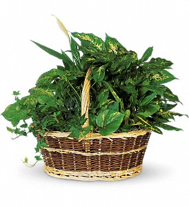 Large Basket Garden in Centralia IL, Ross Flower Shop
