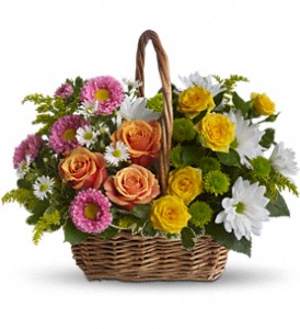 Sweet Tranquility Basket in Centralia IL, Ross Flower Shop