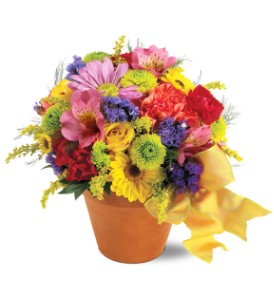 Teleflora's Fresh Blossom Potpourri in Centralia�IL, Ross Flower Shop