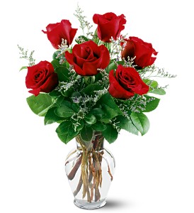 6 Red Roses in Centralia IL, Ross Flower Shop