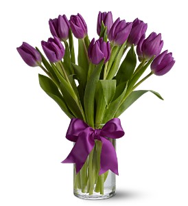 Teleflora's Passionate Purple Tulips in Centralia�IL, Ross Flower Shop