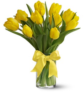 Teleflora's Sunny Yellow Tulips in Centralia�IL, Ross Flower Shop