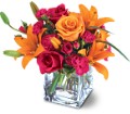 Teleflora's Uniquely Chic Bouquet in Centralia IL Ross Flower Shop
