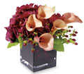Teleflora's Calla Classique in Centralia IL Ross Flower Shop