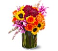 Summer Salsa in Centralia IL Ross Flower Shop