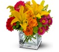 Teleflora's Summertime Splash in Centralia IL Ross Flower Shop