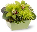 Go Green in Centralia IL Ross Flower Shop