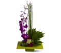 Zen Artistry in Centralia IL Ross Flower Shop
