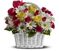 Daisy Dreams Basket in Centralia IL Ross Flower Shop