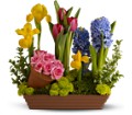 Spring Favorites in Centralia IL Ross Flower Shop