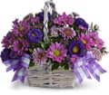 Daisy Day Dreams in Centralia IL Ross Flower Shop