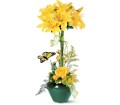 Lily Topiary in Centralia IL Ross Flower Shop