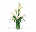 White Callas in Centralia IL Ross Flower Shop