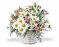 Posy Basket in Centralia IL Ross Flower Shop