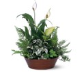 White Garden in Centralia IL Ross Flower Shop