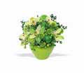 Shades of Green in Centralia IL Ross Flower Shop