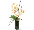 Artful Orchids in Centralia IL Ross Flower Shop