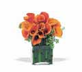 Bronze Callas in Centralia IL Ross Flower Shop