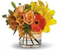 Sunny Siesta in Centralia IL Ross Flower Shop