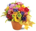 Teleflora's Fresh Blossom Potpourri in Centralia IL Ross Flower Shop