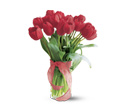 Teleflora's Radiantly Red Tulips - Deluxe in Centralia IL Ross Flower Shop