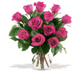 12 Hot Pink Roses in Centralia IL Ross Flower Shop