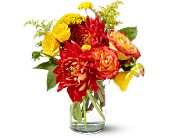 Teleflora's Dazzling Dahlias in Centralia�IL, Ross Flower Shop