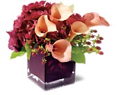 Teleflora's Calla Classique in Centralia�IL, Ross Flower Shop