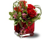Teleflora's Sweet Thoughts in Centralia�IL, Ross Flower Shop