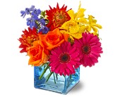 Calypso in Centralia�IL, Ross Flower Shop