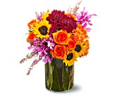 Summer Salsa in Centralia�IL, Ross Flower Shop