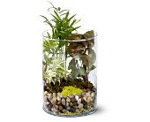Garden in Glass in Centralia�IL, Ross Flower Shop