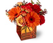 Teleflora's Sunrise Sunset in Centralia�IL, Ross Flower Shop