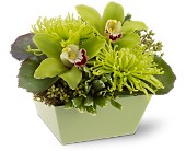 Go Green in Centralia�IL, Ross Flower Shop