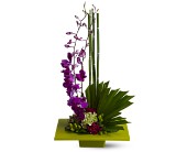 Zen Artistry in Centralia�IL, Ross Flower Shop